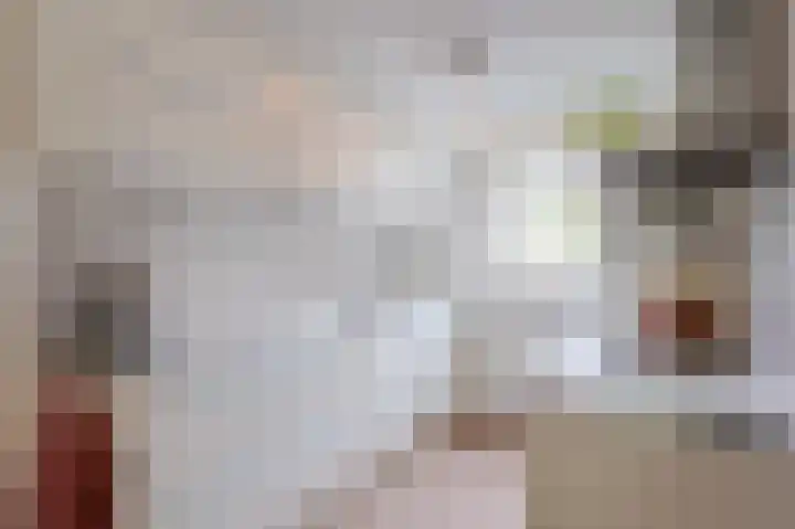 Simon van Ooststroomhof 29 Oegstgeest thumbnail 16