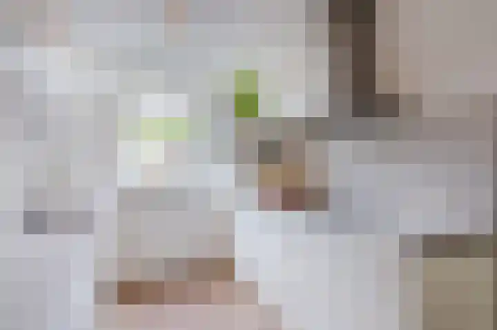 Simon van Ooststroomhof 29 Oegstgeest thumbnail 17