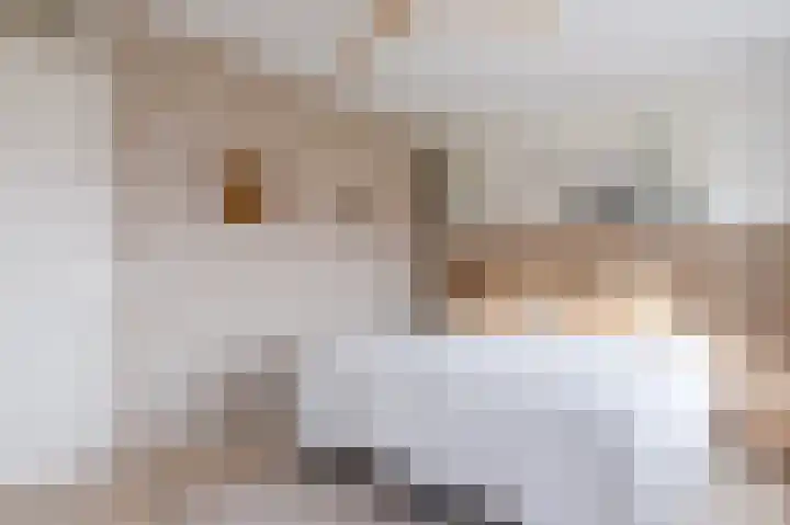 Simon van Ooststroomhof 29 Oegstgeest thumbnail 32