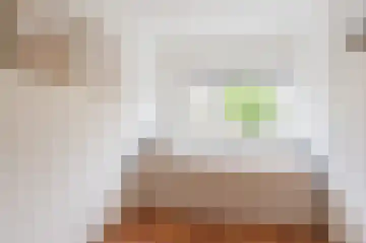 Simon van Ooststroomhof 7 Oegstgeest thumbnail 23