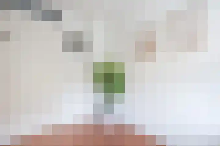 Simon van Ooststroomhof 7 Oegstgeest thumbnail 24
