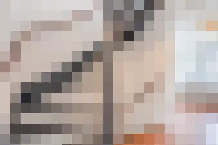 Simon van Ooststroomhof 7 Oegstgeest thumbnail 27