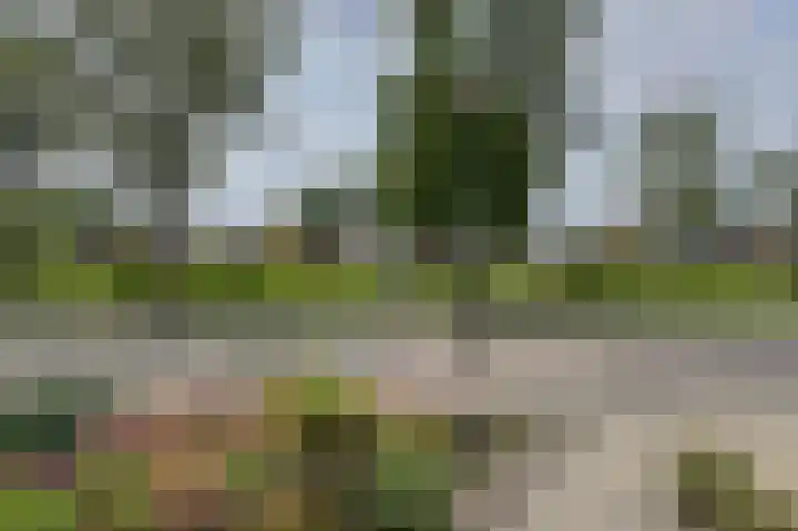 Simon van Sonplein 9 Raamsdonksveer thumbnail 10