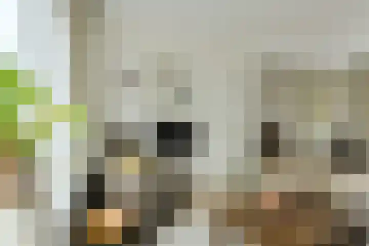 Simon van Sonplein 9 Raamsdonksveer thumbnail 13