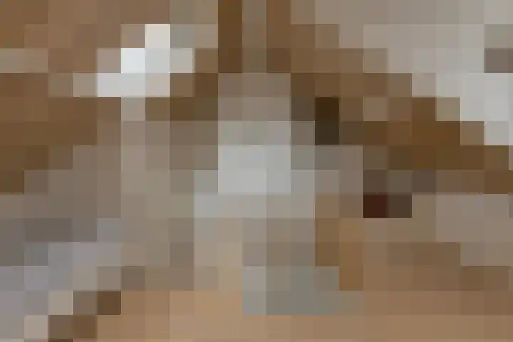 Simon van Sonplein 9 Raamsdonksveer thumbnail 39