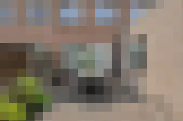 Simon van Sonplein 9 Raamsdonksveer thumbnail 46