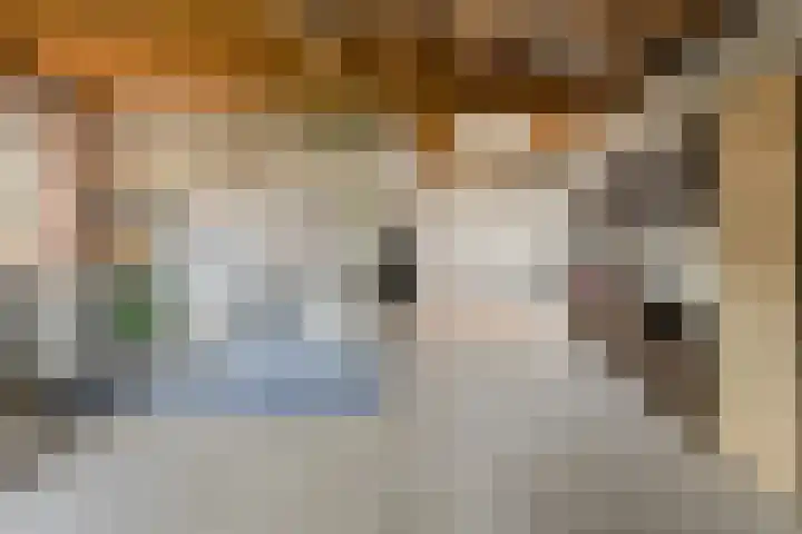 Simon van Sonplein 9 Raamsdonksveer thumbnail 5