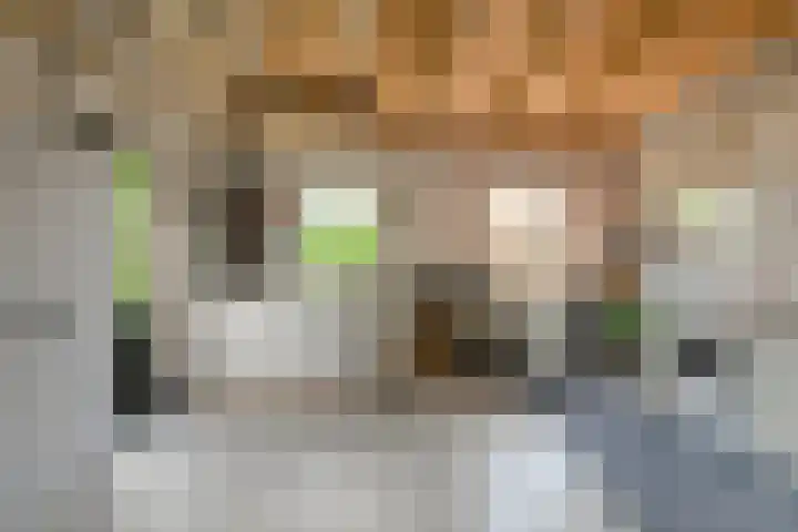 Simon van Sonplein 9 Raamsdonksveer thumbnail 50