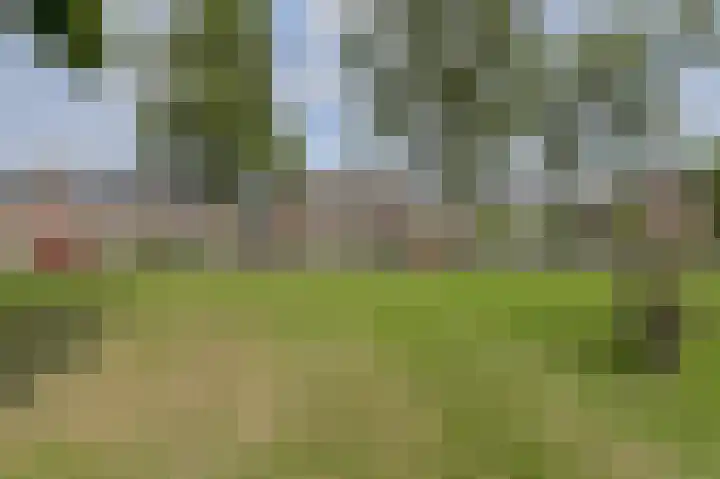 Simon van Sonplein 9 Raamsdonksveer thumbnail 6