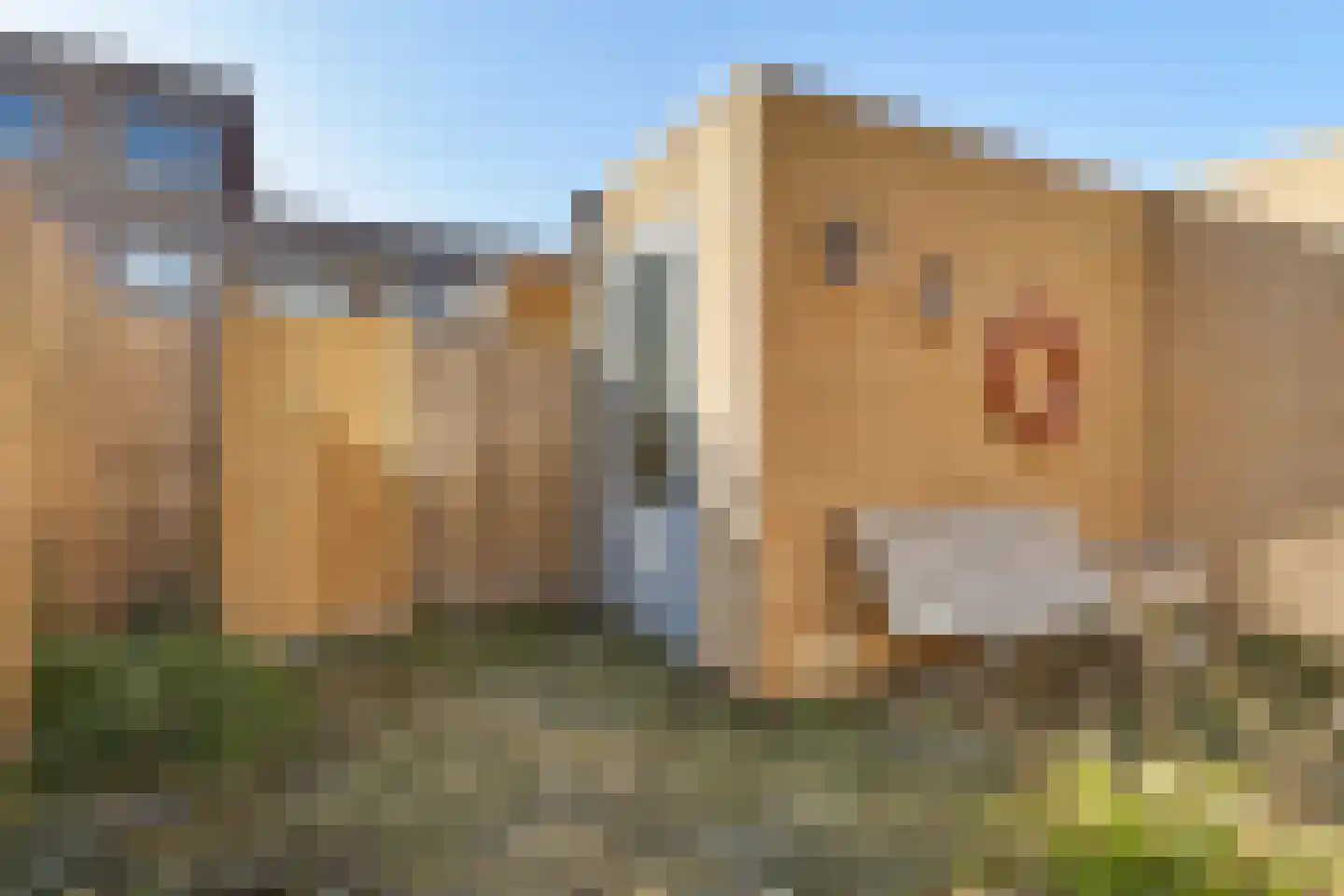 Simon van Wattumstraat 13 Delfzijl thumbnail 16
