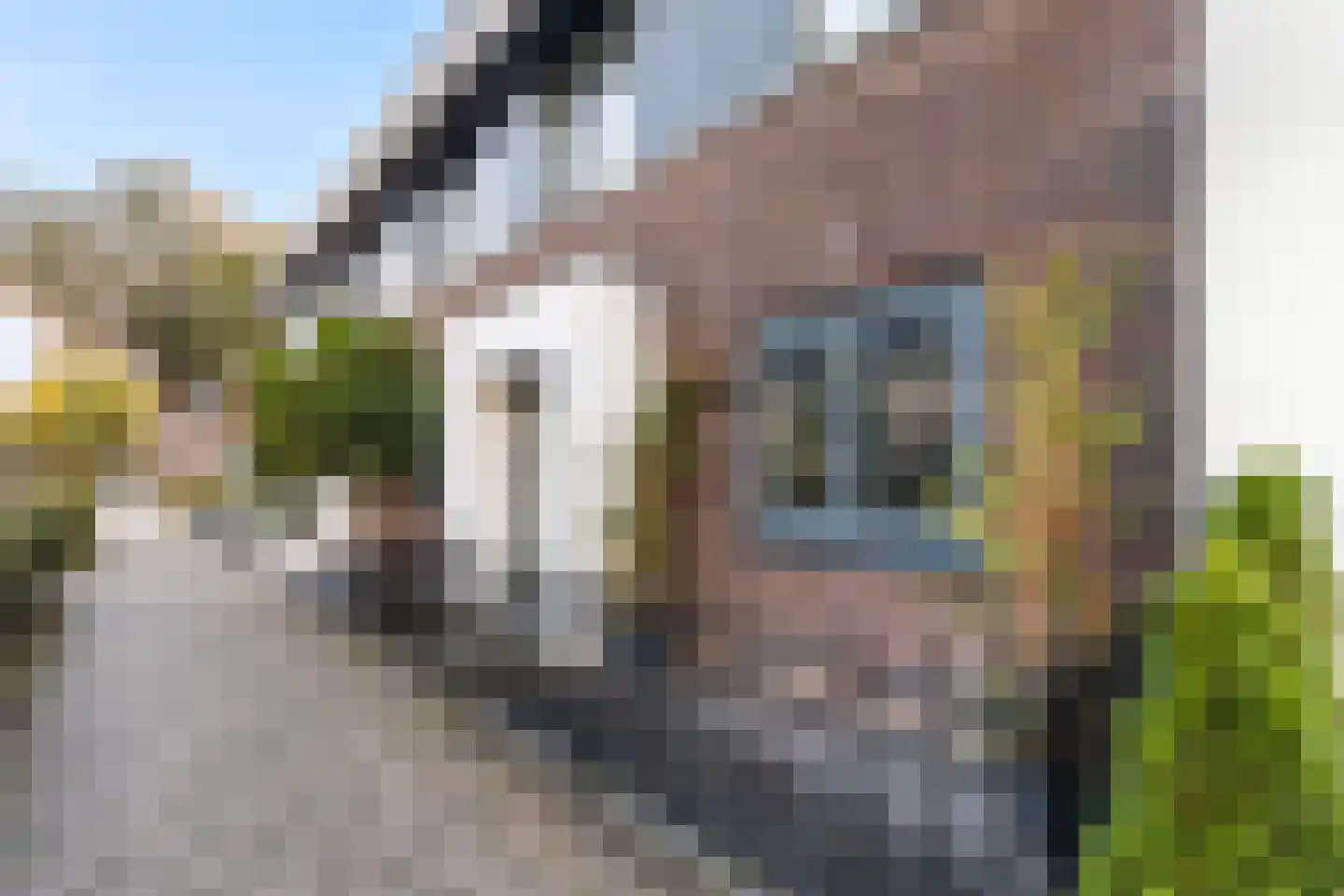 Simon Vestdijk-erf 10 Dordrecht thumbnail 9