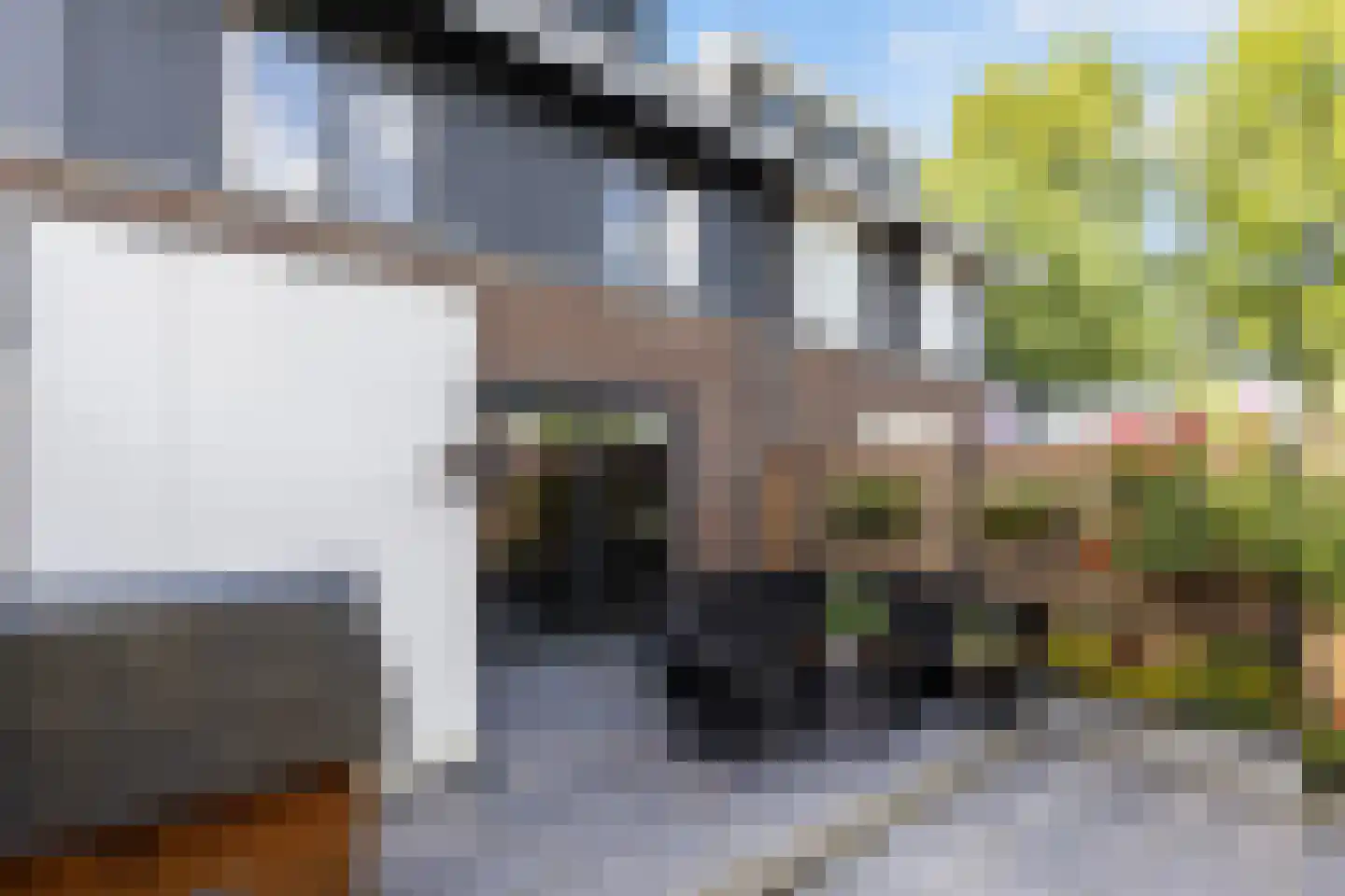 Simon Vestdijk-erf 16 Dordrecht thumbnail 26
