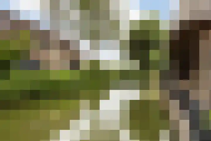 Simon Vestdijk-erf 37 Dordrecht thumbnail 33
