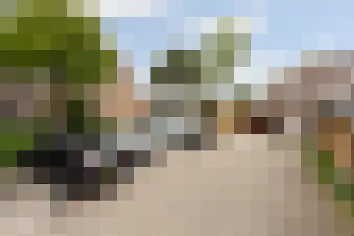 Simon Vestdijk-erf 37 Dordrecht thumbnail 35