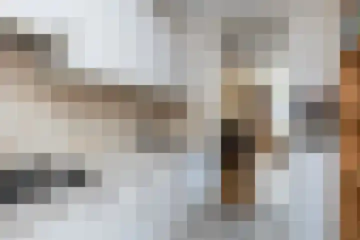 Simon Vestdijkhof 41 Doorn thumbnail 14