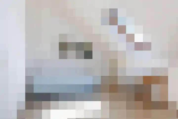 Simon Vestdijkhof 41 Doorn thumbnail 15