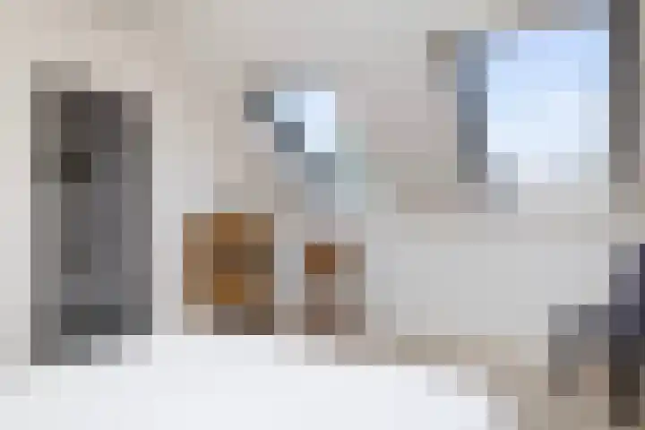 Simon Vestdijkhof 41 Doorn thumbnail 17