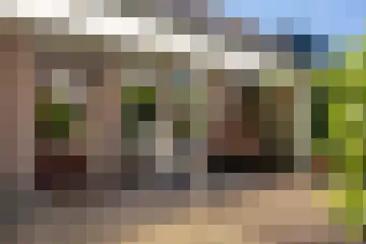 Simon Vestdijkhof 41 Doorn thumbnail 19