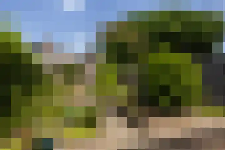 Simon Vestdijkhof 41 Doorn thumbnail 20
