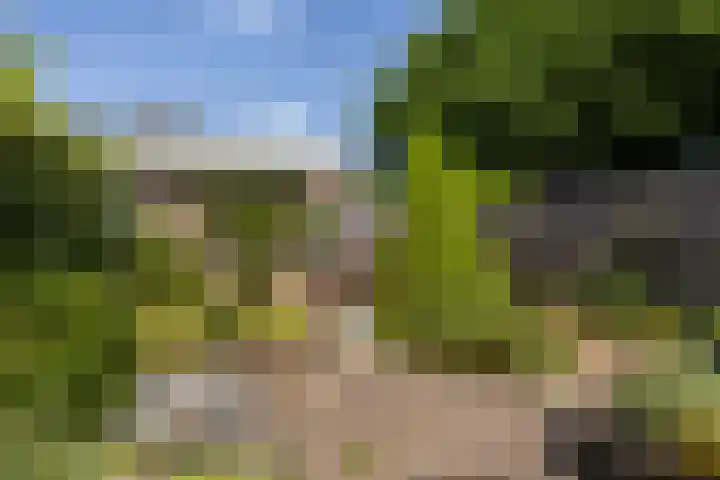 Simon Vestdijkhof 41 Doorn thumbnail 21
