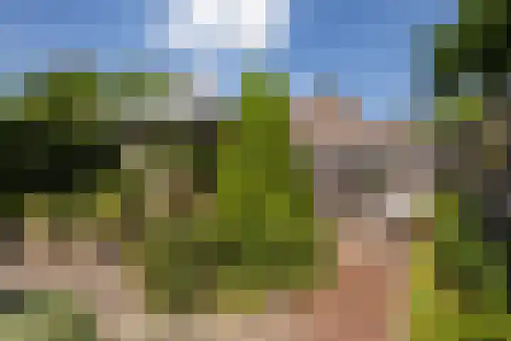 Simon Vestdijkhof 41 Doorn thumbnail 22