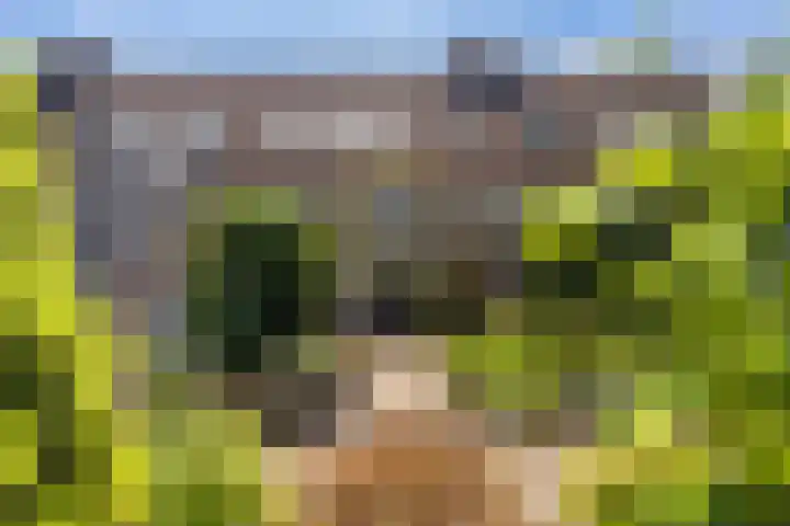 Simon Vestdijkhof 41 Doorn thumbnail 23