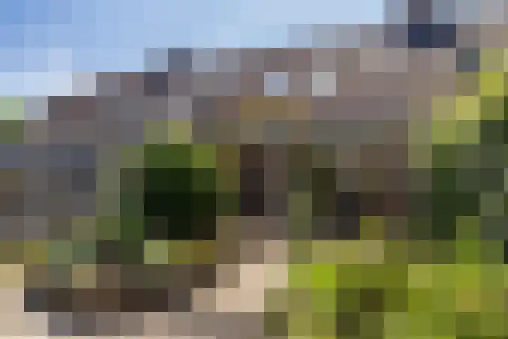 Simon Vestdijkhof 41 Doorn thumbnail 24