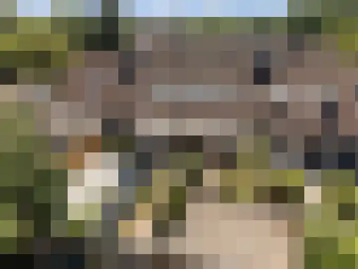 Simon Vestdijkhof 41 Doorn thumbnail 26
