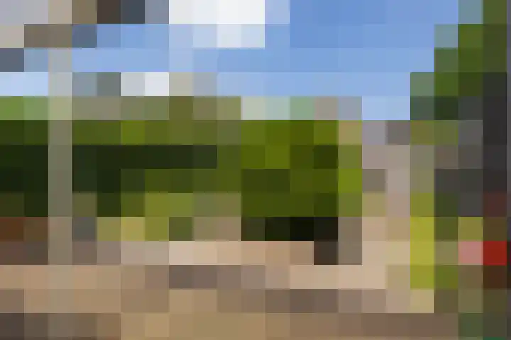 Simon Vestdijkhof 41 Doorn thumbnail 4