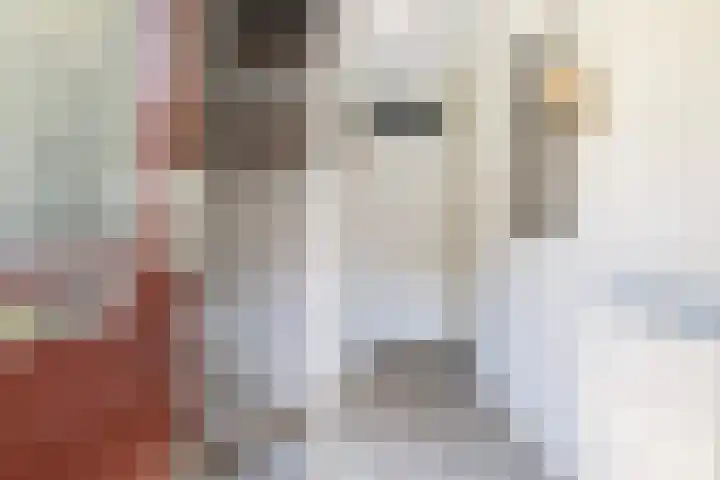 Simon Vestdijkhof 41 Doorn thumbnail 6