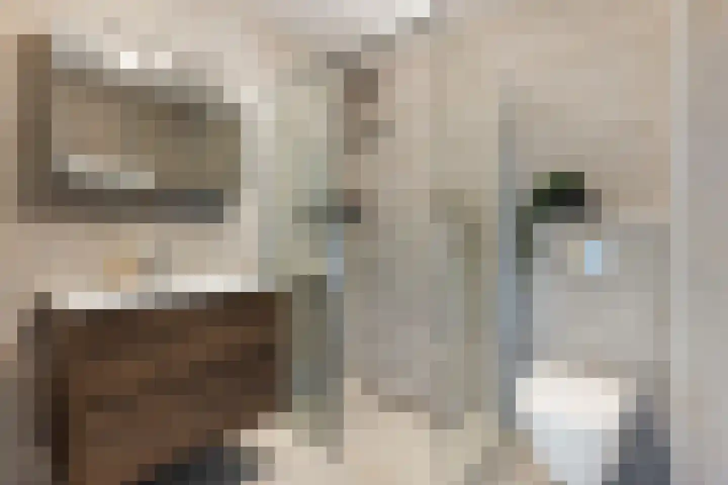 Simon Vestdijkhove 12 Nieuwegein thumbnail 12
