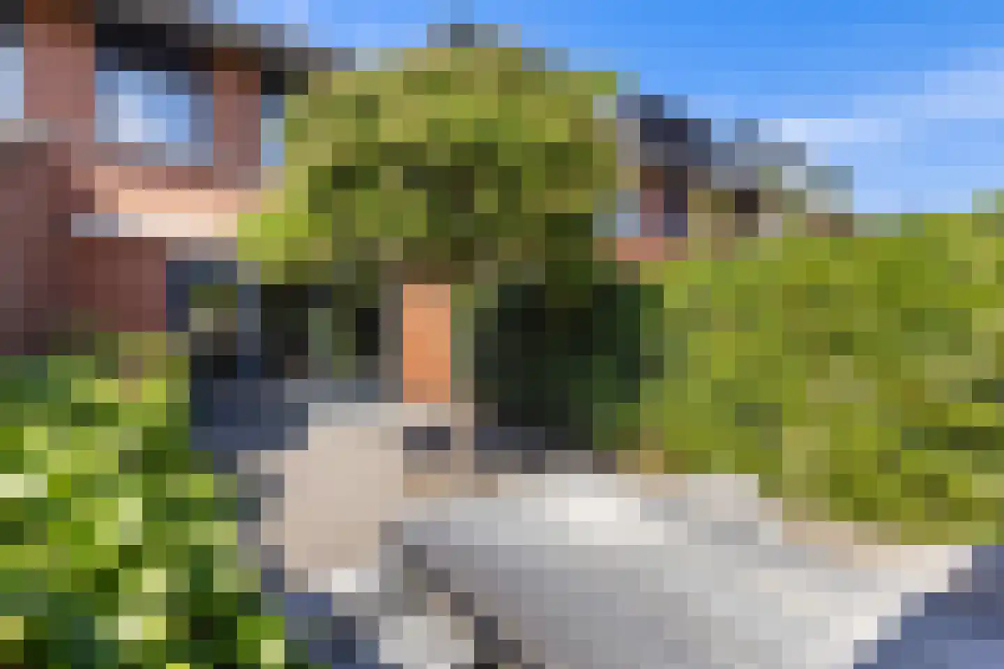 Simon Vestdijkhove 12 Nieuwegein thumbnail 21