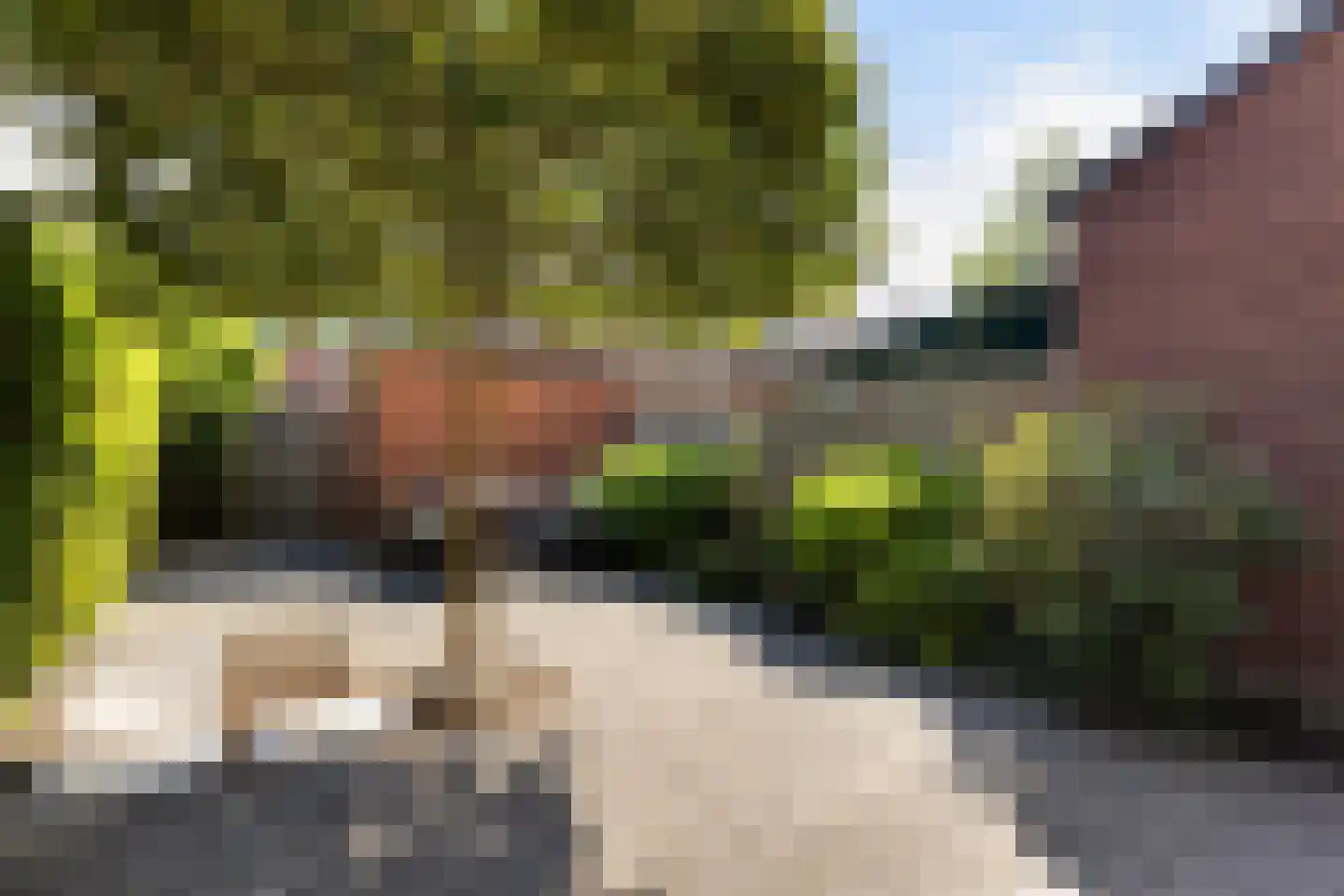 Simon Vestdijkhove 12 Nieuwegein thumbnail 23