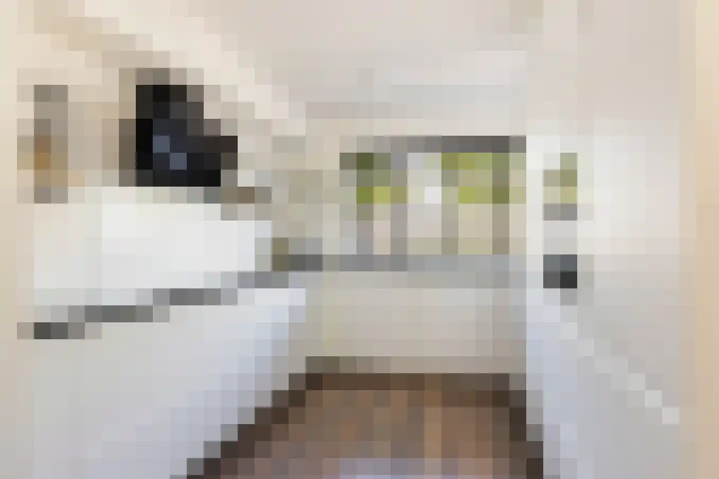 Simon Vestdijkhove 12 Nieuwegein thumbnail 6