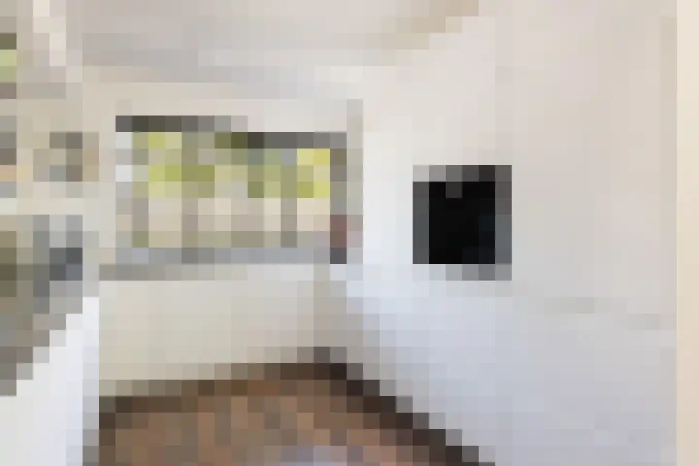 Simon Vestdijkhove 12 Nieuwegein thumbnail 7