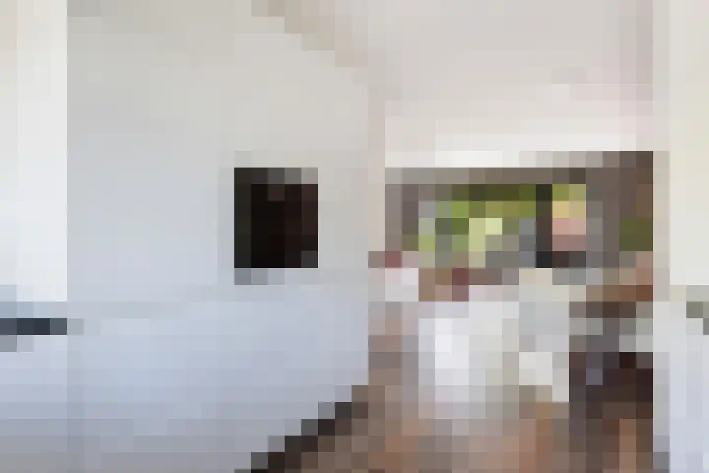 Simon Vestdijkhove 12 Nieuwegein thumbnail 8