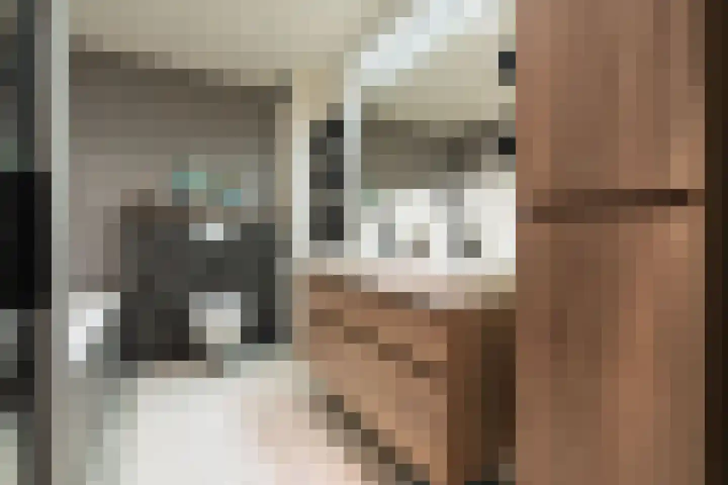 Simon Vestdijkhove 18 Nieuwegein thumbnail 19
