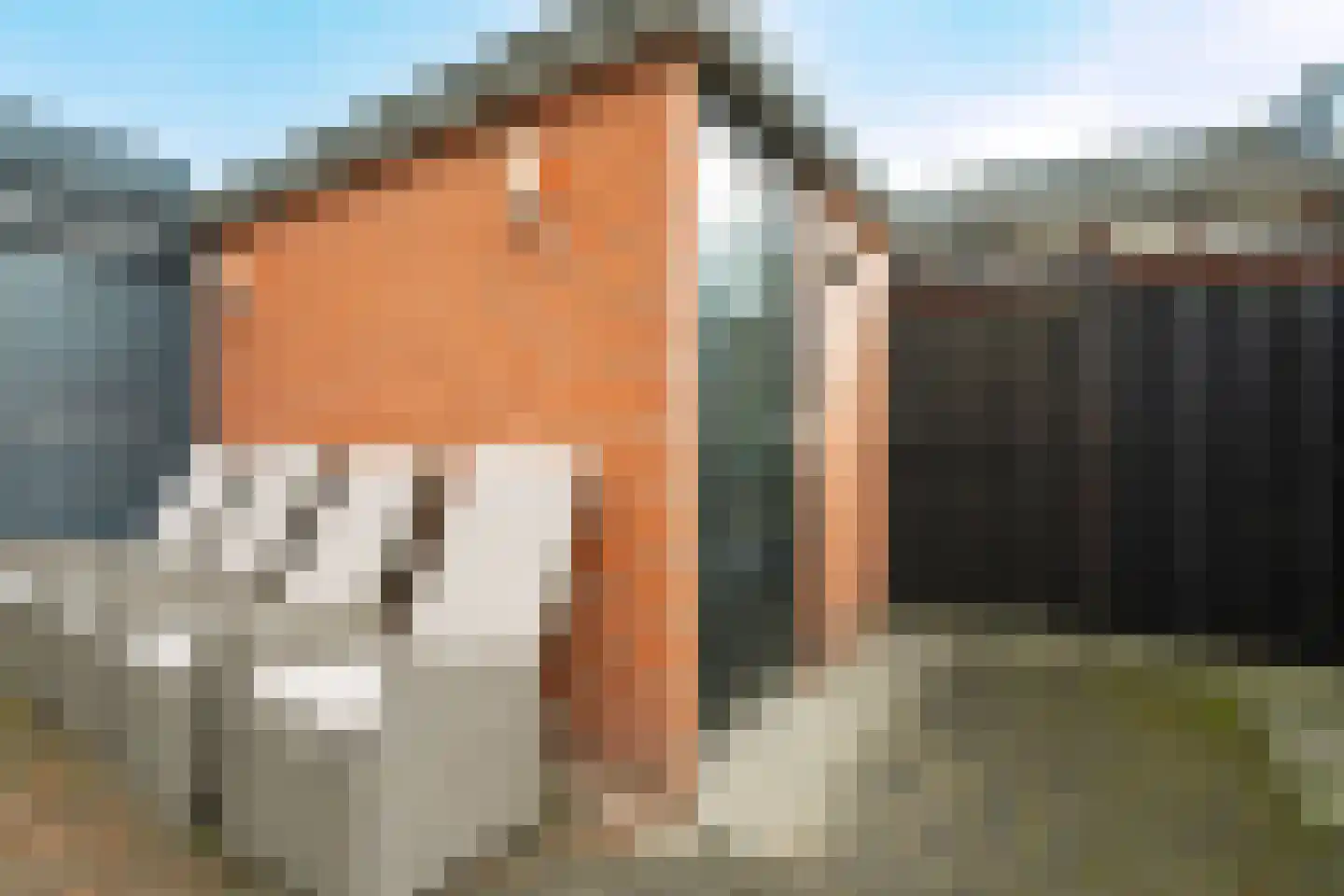 Simon Vestdijkhove 18 Nieuwegein thumbnail 27