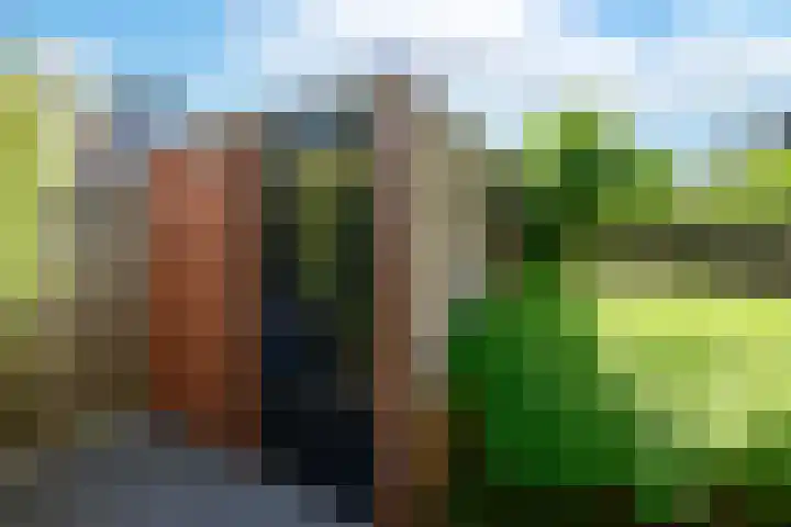 Simon Vestdijkhove 28 Nieuwegein thumbnail 18