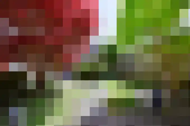Simon Vestdijkhove 28 Nieuwegein thumbnail 6