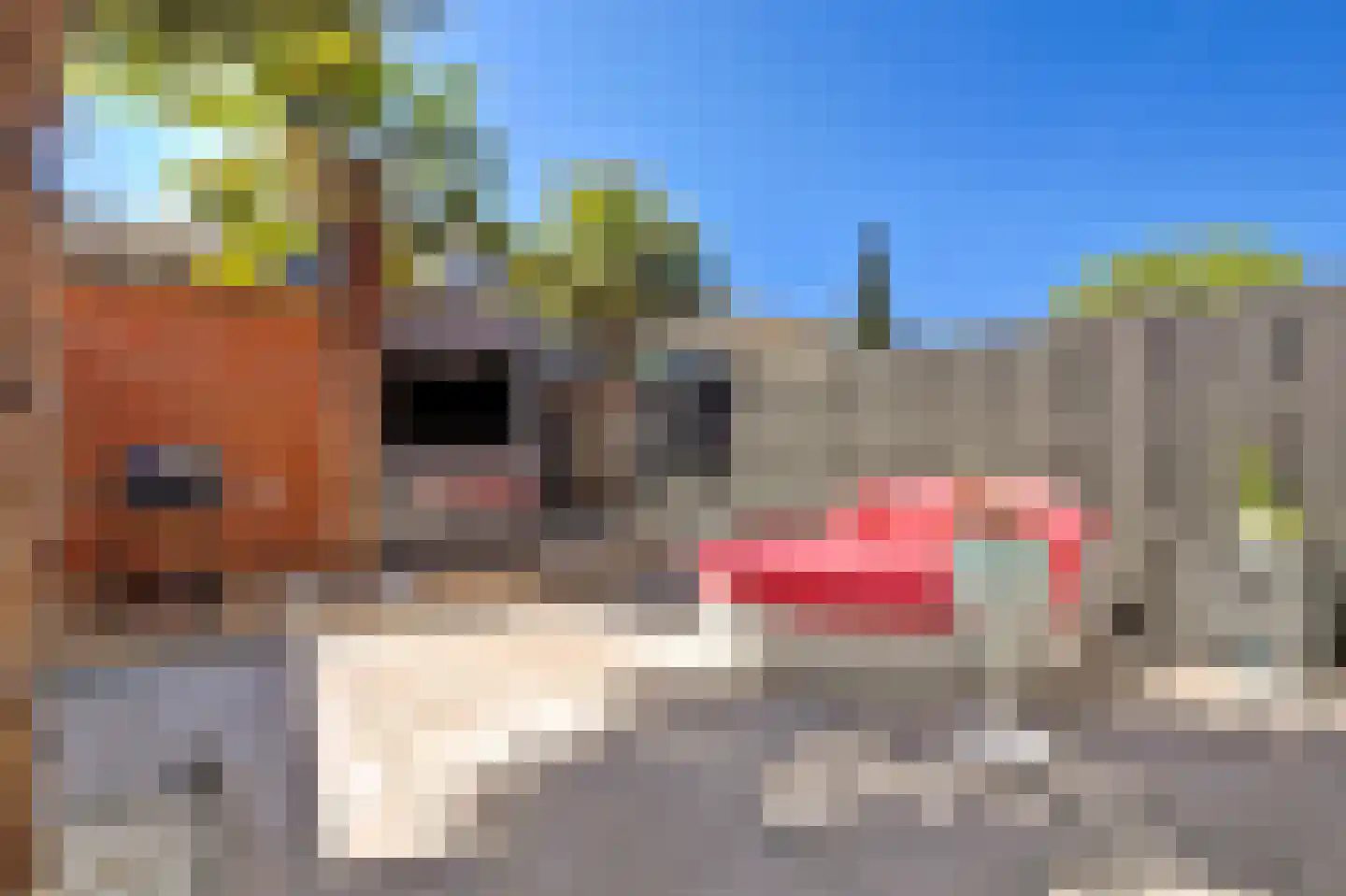 Simon Vestdijkhove 37 Nieuwegein thumbnail 37
