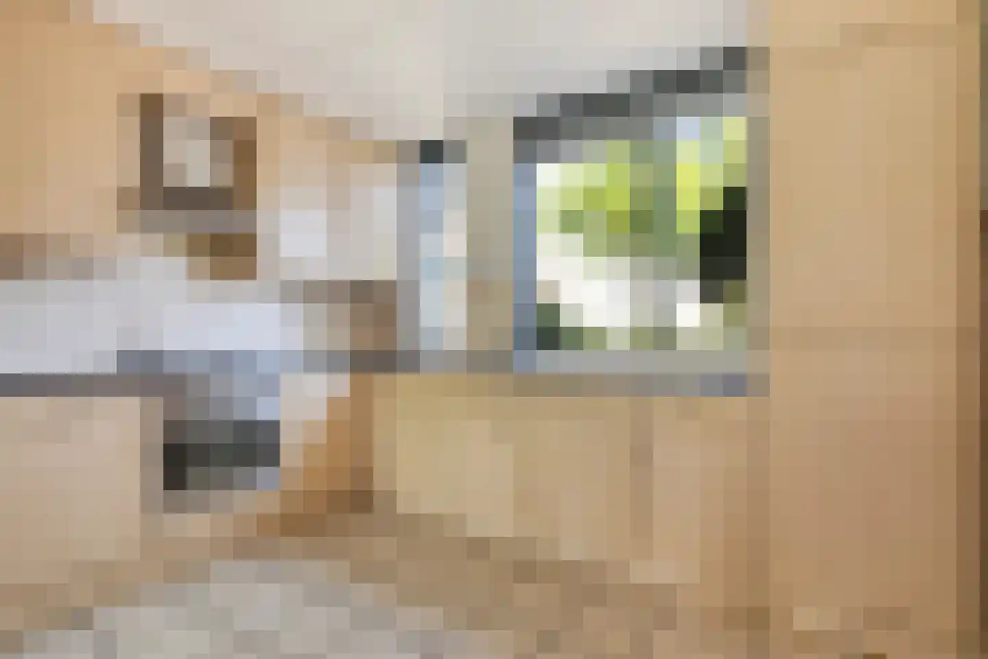 Simon Vestdijklaan 12 Oegstgeest thumbnail 13