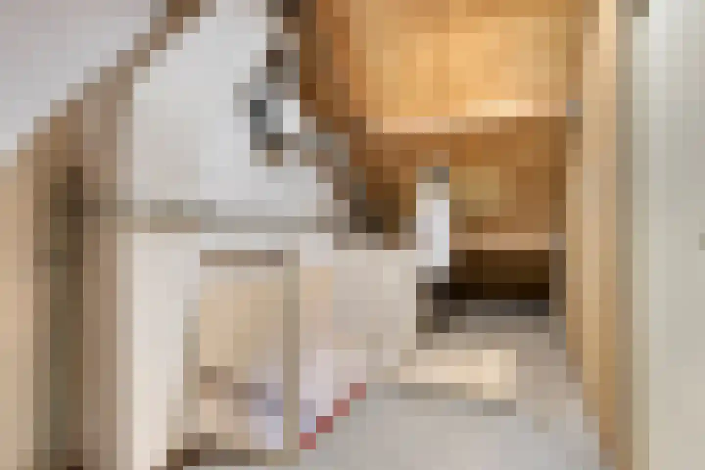 Simon Vestdijklaan 12 Oegstgeest thumbnail 27