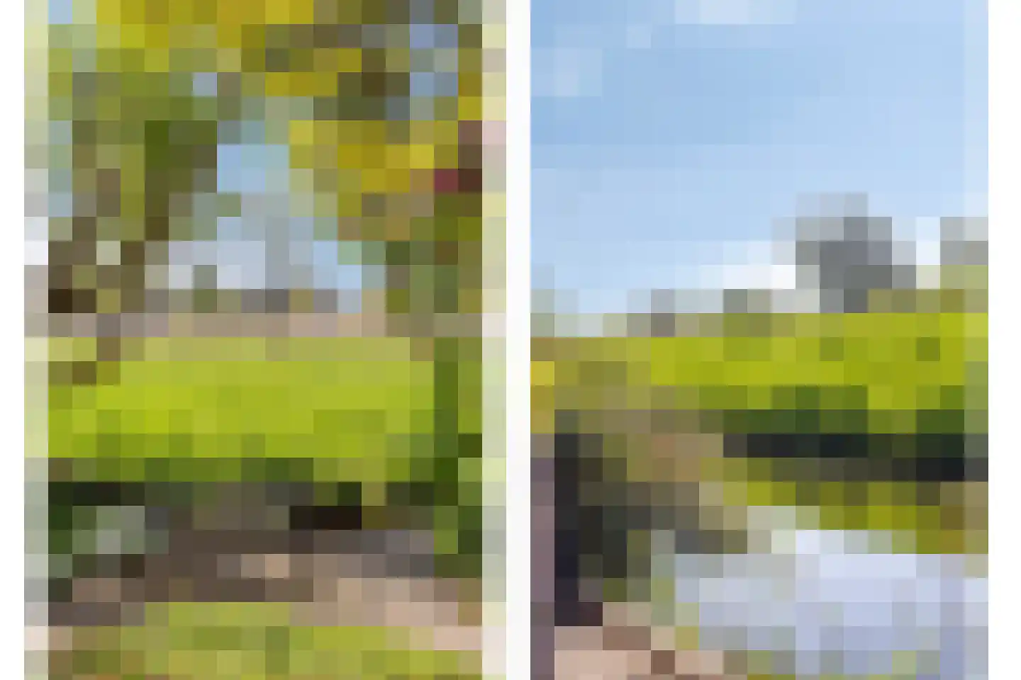 Simon Vestdijklaan 12 Oegstgeest thumbnail 33