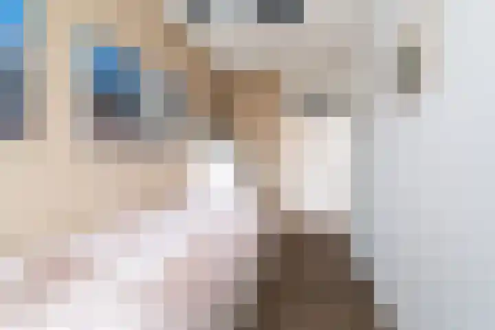 Simon Vestdijklaan 13 Delft thumbnail 23