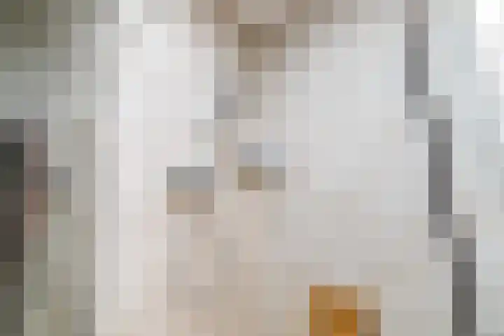 Simon Vestdijklaan 13 Delft thumbnail 28