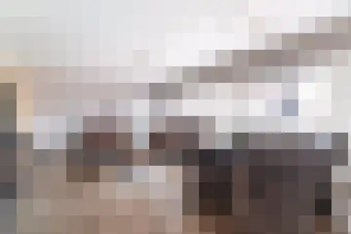 Simon Vestdijklaan 13 Delft thumbnail 9