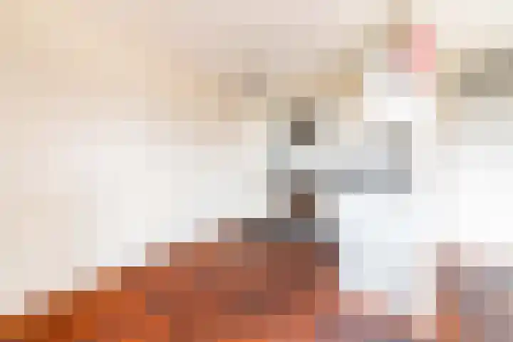 Simon Vestdijklaan 19 Delft thumbnail 12