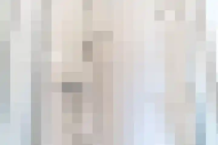 Simon Vestdijklaan 19 Delft thumbnail 25