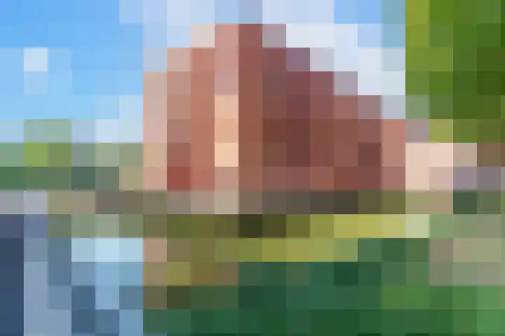 Simon Vestdijklaan 19 Delft thumbnail 30
